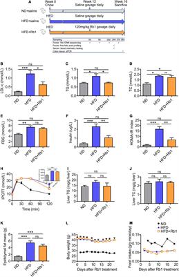 Ginsenoside Rb1 Improves Metabolic Disorder in High-Fat Diet-Induced Obese Mice Associated With Modulation of Gut Microbiota